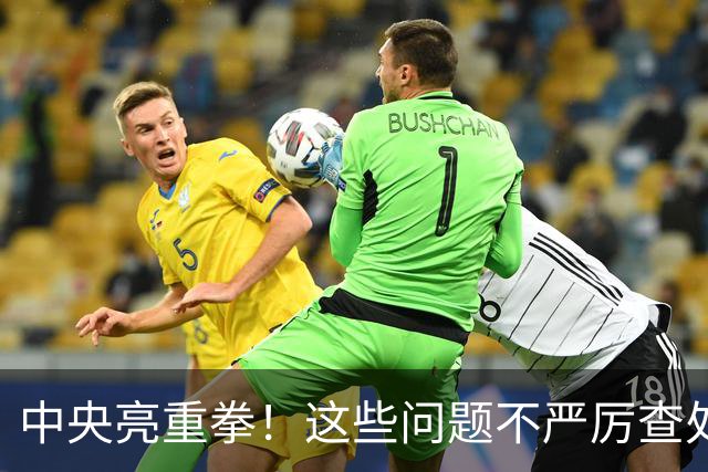 中央亮重拳！这些问题不严厉查处的，直接追究地方领导责任！